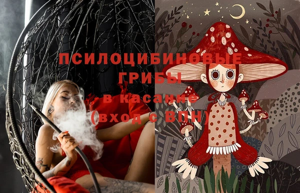 твердый Белокуриха