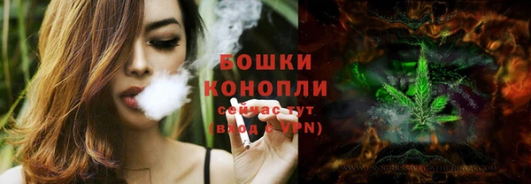 твердый Белокуриха